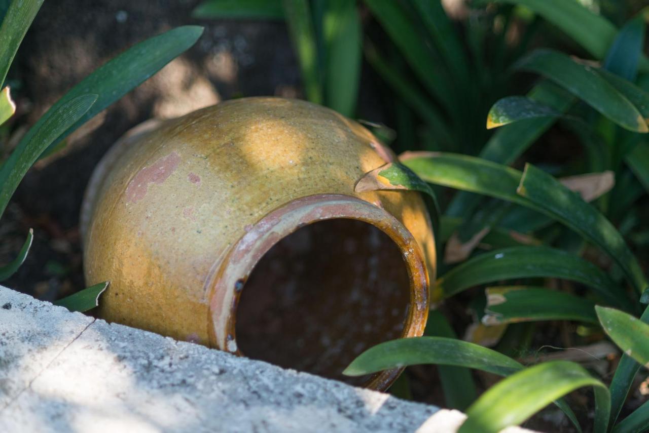 Finca Coster ポレンサ エクステリア 写真